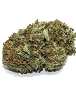Purple Kush (Bulk)