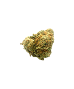 Gelato