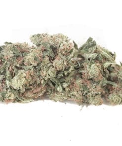 Purple OG (Bulk)