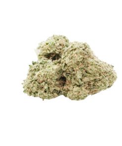 Master Kush