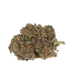 Sherb Quake (AAAA - Bulk)