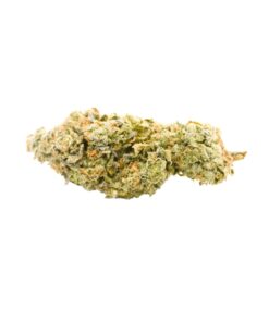 Gelato Cookies