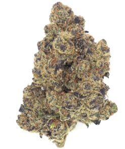 Black Truffle (AAAA - Bulk)
