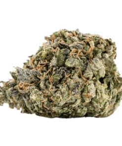Grape Fritters (AAAA - Bulk)