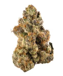 Larry Bird (AAAA - Bulk)