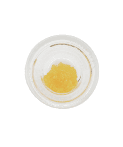 Original Glue HTFSE (1g)