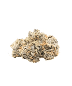 Pink Kush (AAAA - Bulk)