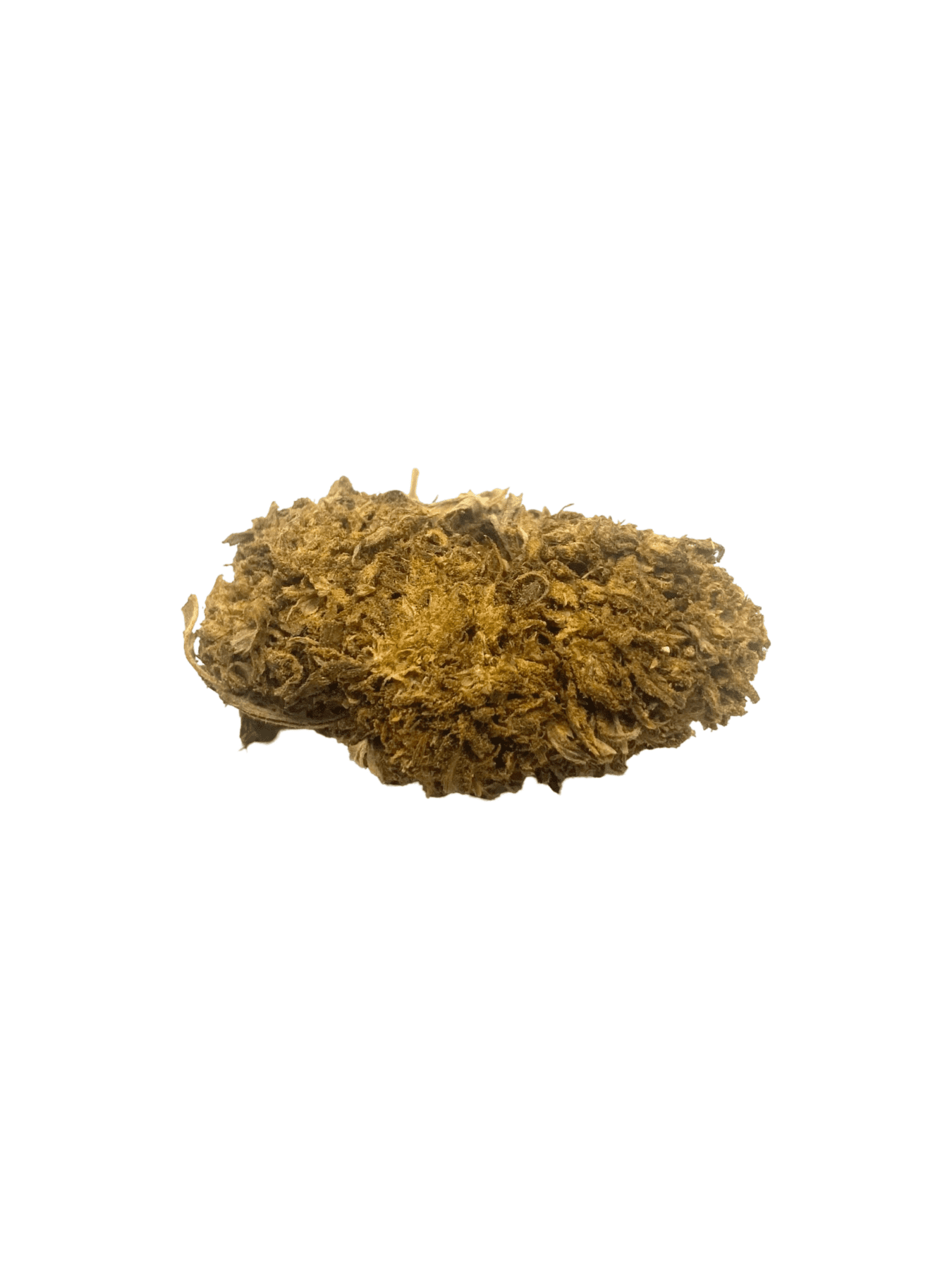 AA Harlequin (CBD Strain - May Contain Seeds)