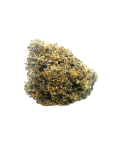 Frosted Gelato (AAAA)