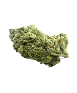 Mango Mints
