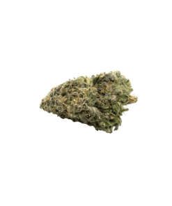 Jelly Breath