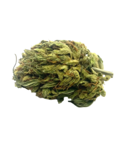 Pineapple x GMO (Sungrown)