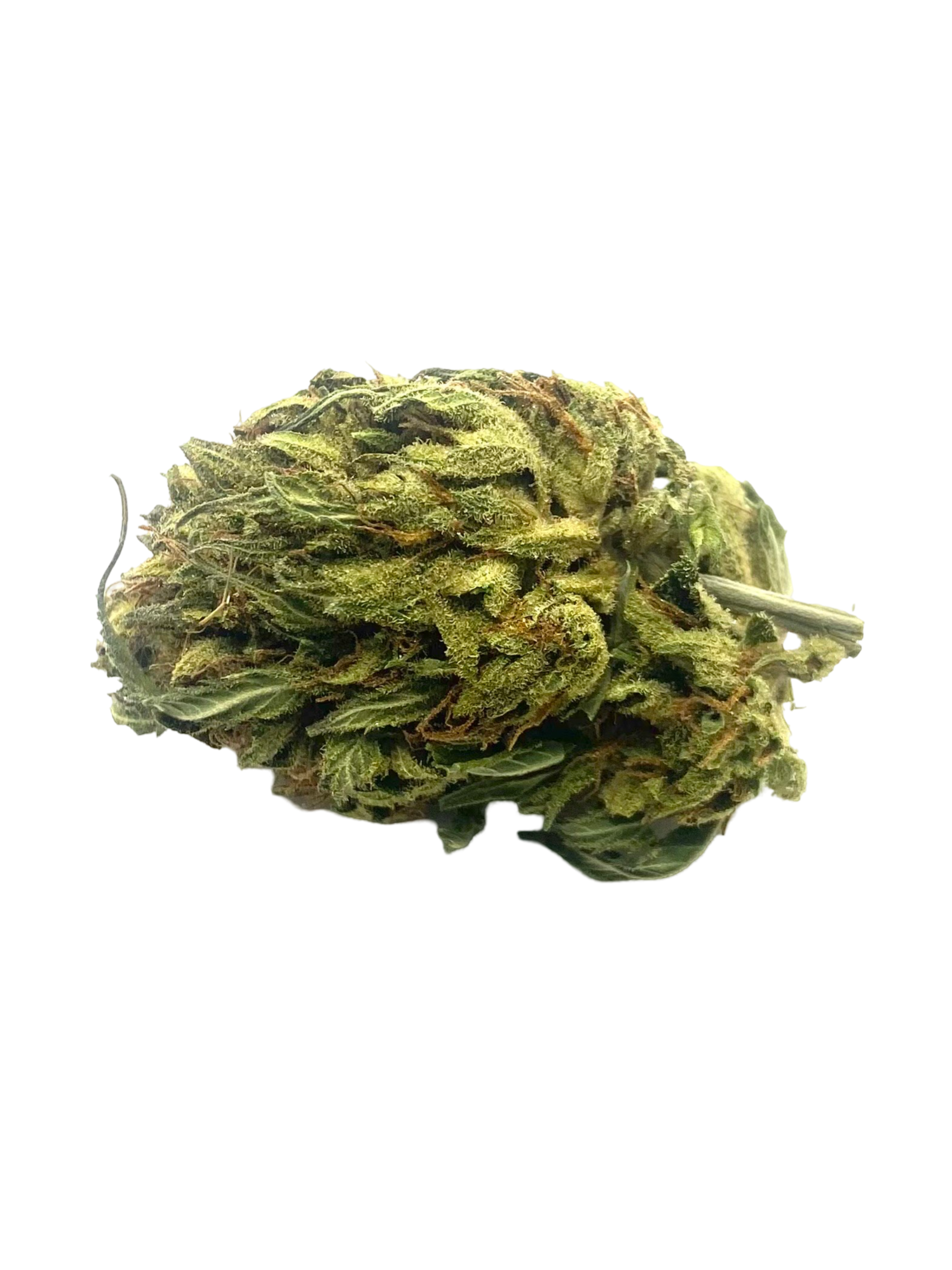Pineapple x GMO (Sungrown)