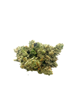 Grand Daddy Purple (AAAA)
