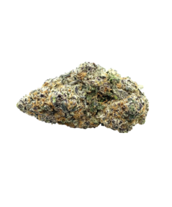 Tropicana Slurpee (AAAA)